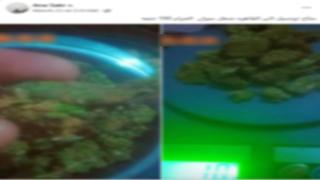 ضبط عاطل يدير صفحة لترويج المخدرات عبر مواقع التواصل بالقليوبية