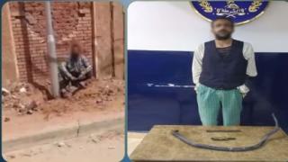 سقوط لص أسلاك إنارة ببورسعيد بعد فيديو متداول