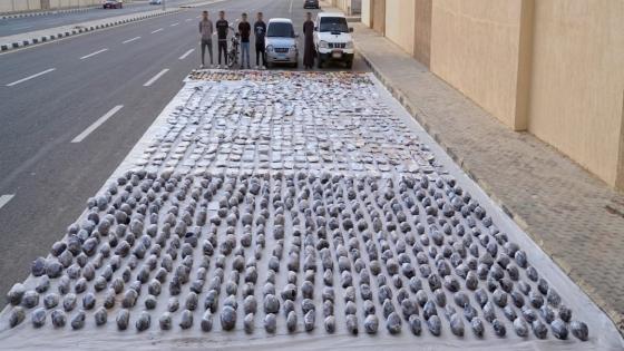 ضبط قرابة طنين من المواد المخدرة في السويس قبل ترويجها.. قيمتها 125 مليون جنيه