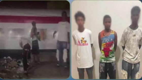 ضبط 3 طلاب بعد تداول فيديو لإلقائهم الحجارة على قطار أثناء مروره بأسوان