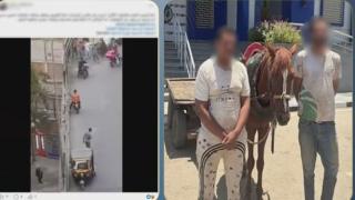 ضبط سائق عربة “كارو” وصديقه بعد واقعة التعدى على عامل نظافة بالقاهرة