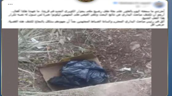 العثور على جثمان رضيع يقود لكشف الواقعة.. الداخلية تضبط الأم بأسيوط