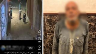 ضبط خفير خصوصي لاعتدائه على كلب بعصا خشبية بقليوب.. واعترف: “عض زوجتي” 
