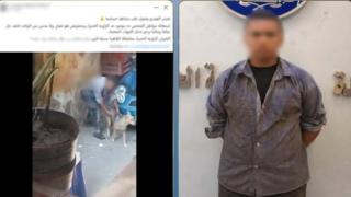 ضبط صغير بعد تداول فيديو أثناء التعدي على كلب ضال بالقاهرة