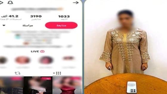 ضبط صانعة محتوى بالدقهلية لنشر مقاطع فيديو بهدف زيادة المشاهدات وتحقيق أرباح