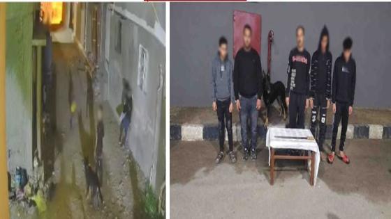 خلافات جيرة وراء واقعة البلطجة بالبحيرة.. ضبط 4 أشخاص والتحفظ على كلب وسلاح أبيض