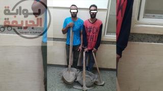 حبس شقيقين لتنقيبهما عن الآثار داخل مسكنهما في بطن البقر