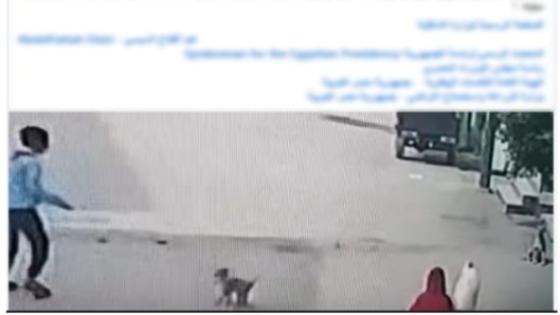 الأمن يكشف ملابسات فيديو ضرب كلب بالإسماعيلية ويضبط المتهم