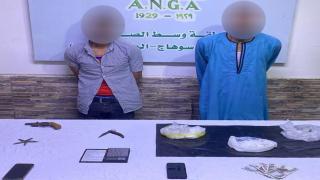 العنصران الإجراميان