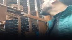 تأجيل محاكمة رمضان صبحي في قضية التزوير.. واللاعب داخل قفص الاتهام