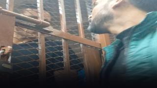 تأجيل محاكمة رمضان صبحي في قضية التزوير.. واللاعب داخل قفص الاتهام