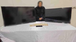 القبض على الخادمة المتهمة بسرقة فيلا دبلوماسي في الجيزة