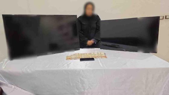 القبض على الخادمة المتهمة بسرقة فيلا دبلوماسي في الجيزة