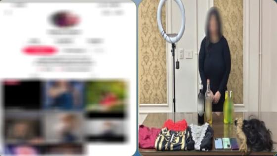 ضبط صانعة محتوى لنشر فيديوهات خادشة للحياء بالدقهلية
