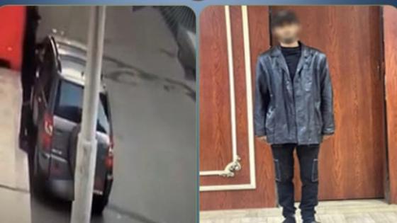 سرقة داخل سيارة في الدقهلية.. سقوط المتهم بعد تداول فيديو الواقعة