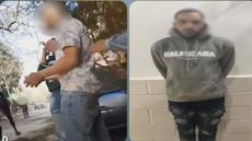 خناقة رحلات الخيل تكشف واقعة نصب في الهرم