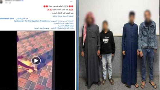 القبض على صغيرين لقتل كلب حرقًا في جنوب سيناء.. وتصوير الواقعة بدافع “المزاح”