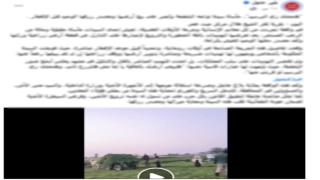 كشف حقيقة فيديو “سرقة المحاصيل” بالدقهلية.. نزاع على ملكية أرض وراء الواقعة