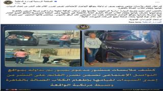الداخلية توضح ملابسات ضبط سيدة لنشرها محتوى حول إطعام الكلاب الضالة