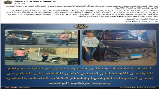 الداخلية توضح ملابسات ضبط سيدة لنشرها محتوى حول إطعام الكلاب الضالة
