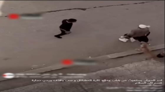 مشاجرة بالحجارة في السلام.. الداخلية تكشف تفاصيل فيديو متداول وتضبط طرفي الواقعة