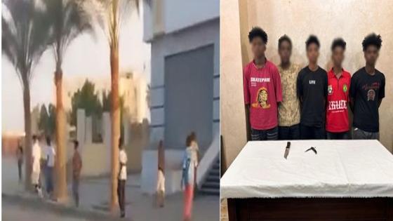 ضبط 5 صبية بالمنوفية بعد رشق سيارات بالحجارة.. والتحفظ على أسلحة بيضاء بحوزة اثنين منهم