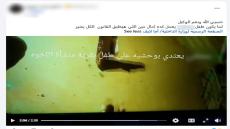 القبض على المتهم بالتعدي على طالب في الدقهلية بعد تداول فيديو للواقعة