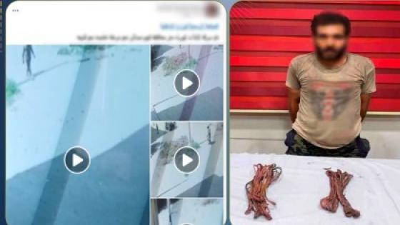 ضبط لص كابلات الكهرباء في الفيوم بعد تداول فيديو السرقة على السوشيال