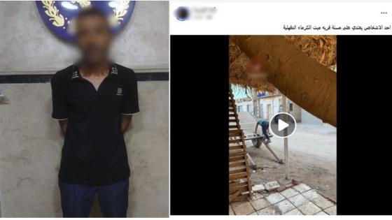 ضبط عامل بعد تداول فيديو لاعتدائه على مسنة في الدقهلية