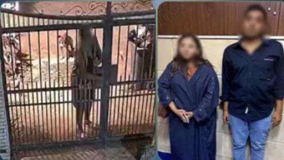 خلاف على تقليم الأشجار يكشف ادعاء سيدة أن جارها ضابط شرطة بالمقطم