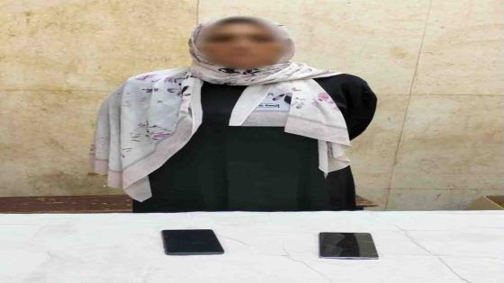 الداخلية تكشف ملابسات سرقة هاتفين من داخل محل في القليوبية