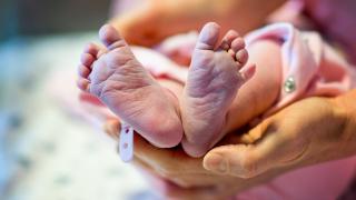 العثور على جثة طفل في صندوق قمامة بـ الجيزة