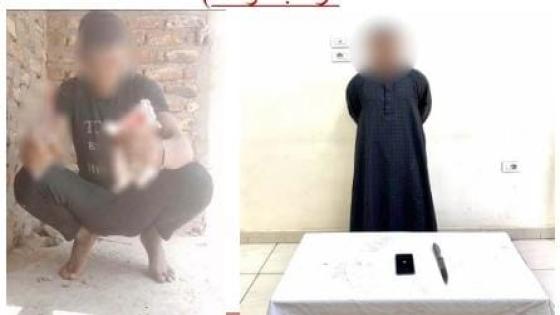 ضبط شخص اعتدى على قطة بسلاح أبيض ونشر الواقعة على مواقع التواصل بقصد الربح