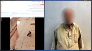 بعد تعديه على كلب ضال .. “الداخلية” تكشف عن هوية مرتكب الواقعة بأسيوط