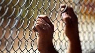 حبس شبكة للاتجار في الأعضاء البشرية بالخليفة