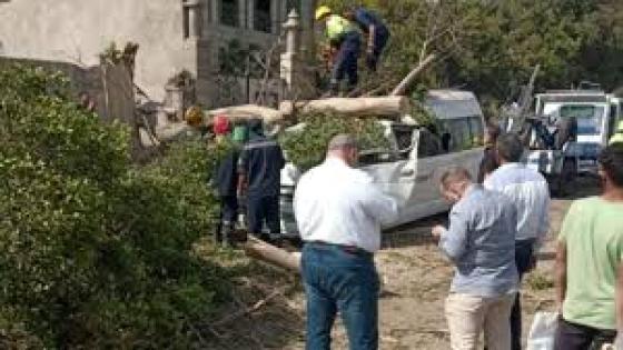 مصرع شخصين وإصابة 7 بسبب سقوط شجرة على ميكروباص بـ صلاح سالم