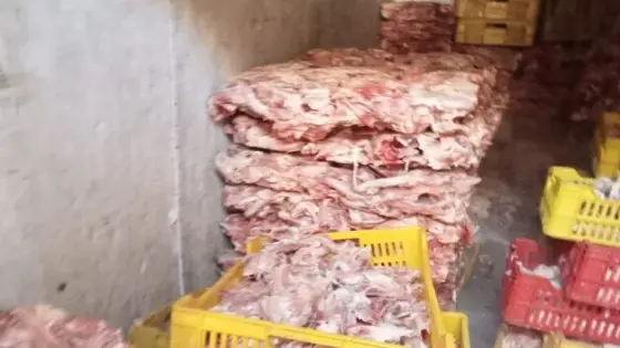 ضبط 2 طن هياكل دجاج غير صالحة للاستهلاك بكرداسة