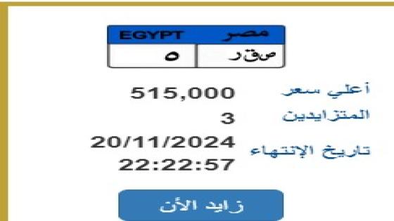 صقر وقوة بسعر يتجاوز نصف مليون جنيه.. أسعار اللوحات المعدنية المميزة