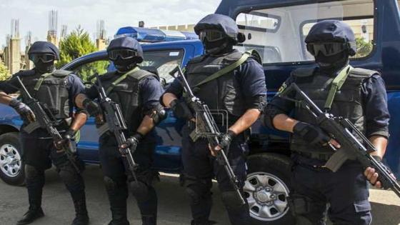 ضبط عاطل بحوزته كيلو حشيش خلال حملة أمنية بالقليوبية