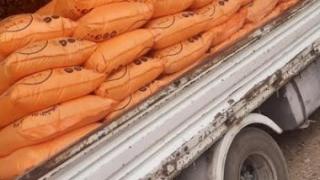 صورة__أرشيفية