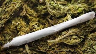 الحشيش والهيدرو