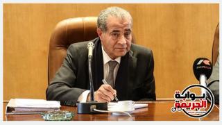 الدكتور على مصيلحى