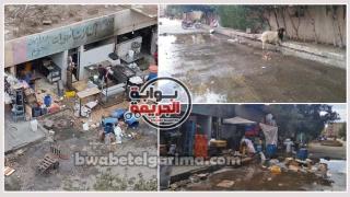 مدينة الفردوس