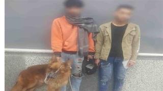 القبض على المتهمين بالتعدى على شاب فى المرج بواسطة كلب