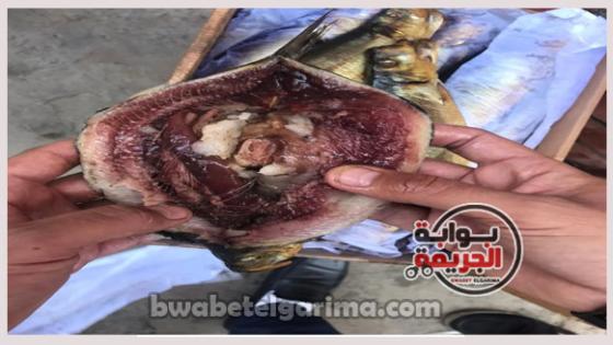 المضبوطات