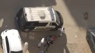 بقايا جثة فى شوارع المرج