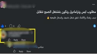 ضبط عاطل بالإسماعيلية احتال على راغبي شراء المخدرات عبر صفحة إلكترونية