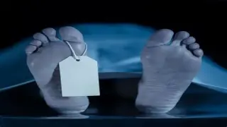 مصرع عامل صعقًا بالكهرباء داخل مزرعة في الشيخ زايد