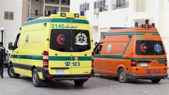 مشاجرة بين الأهالي بقرية في البحيرة تُسفر عن إصابة 5 أشخاص