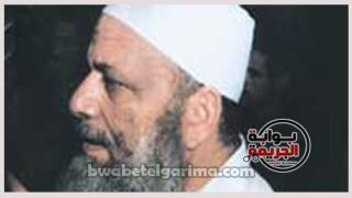 سيد السوركى